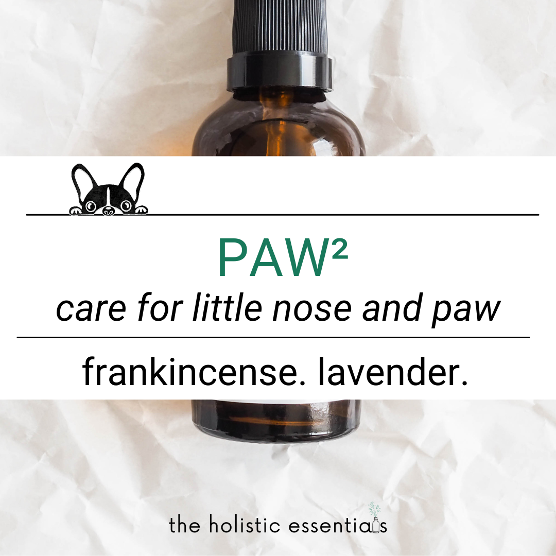 Paw Paw The Holistic Essentials