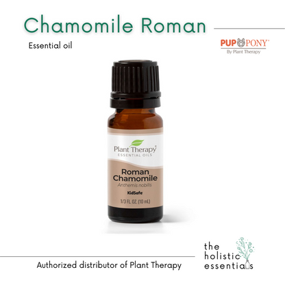 Roman Chamomile Essential Oil 10 ml - Plant Therapy