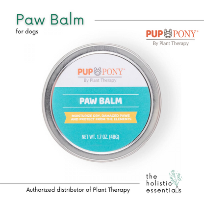 Paw balm for dogs - Plant Therapy | Natural Dog care