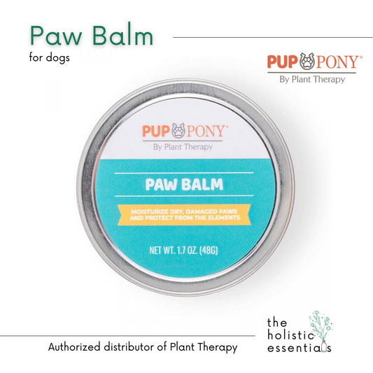 Paw balm for dogs - Plant Therapy | Natural Dog care