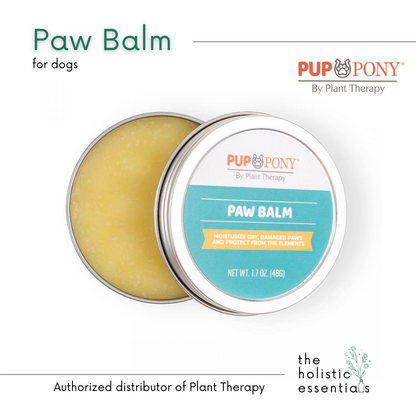 Paw balm for dogs - Plant Therapy | Natural Dog care