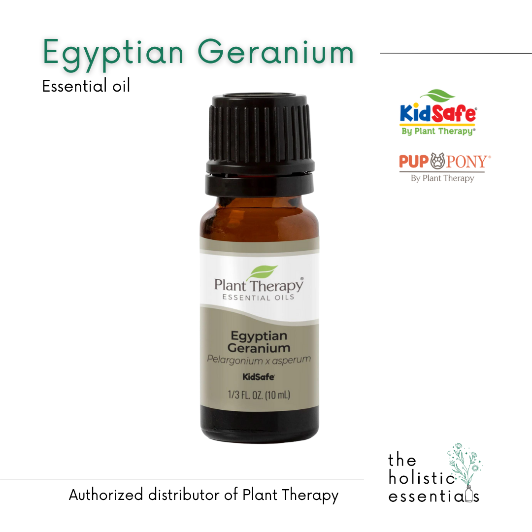 Egyptian Geranium Essential Oil 10ml - Plant Therapy