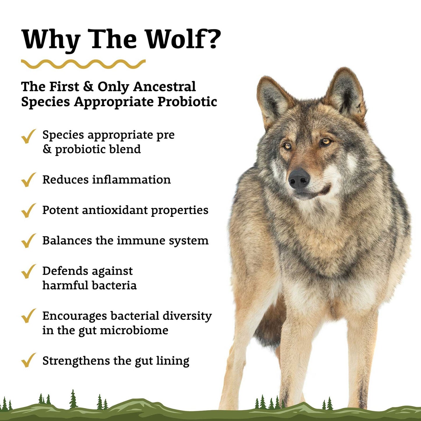 The Wolf | Species Appropriate Probiotic