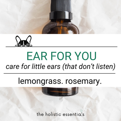 Ear For Your Dog Ear Solution | The Holistic Essentials